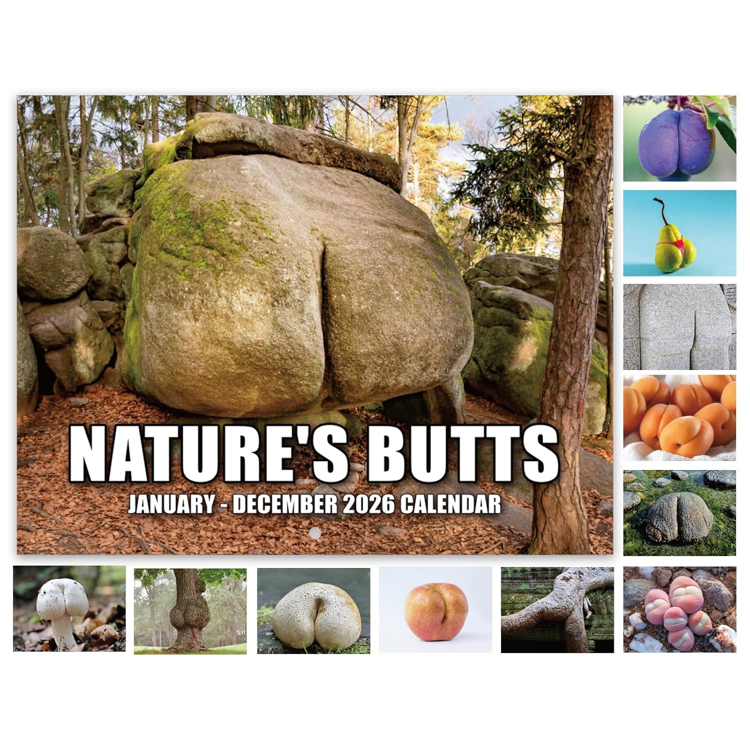 Gag Gifts - White Elephant Gag Gifts Calendar 2026, Nature Butts Calendar 2026 from January to December, 11'' x 8.5'', Gag Gift for White Elephant